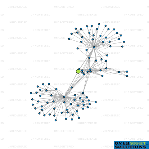 Network diagram for TRINITY HOTEL 2021 LTD