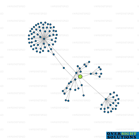 Network diagram for CONES ROAD INVESTMENTS LTD