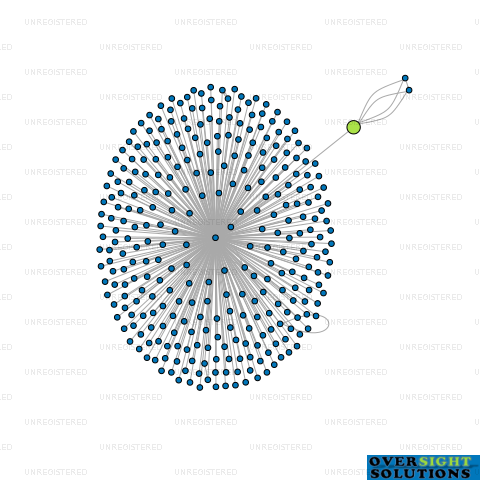 Network diagram for WILTSHIRE TRUSTEES LTD