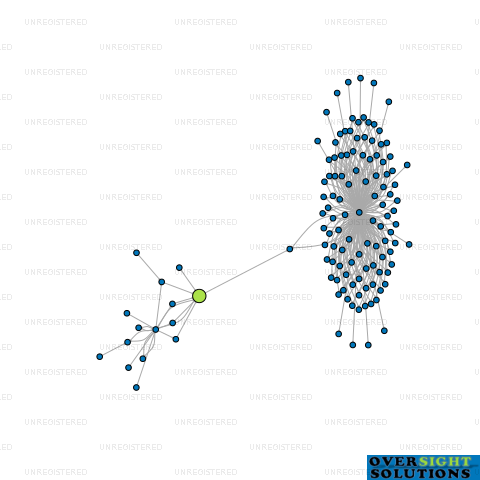 Network diagram for LEROY GROUP HOLDINGS 2022 LTD