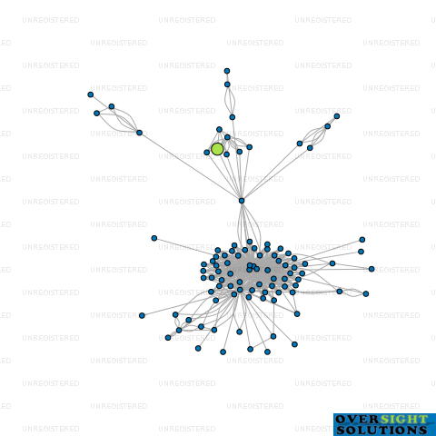 Network diagram for MONOWAI HOLDINGS LTD