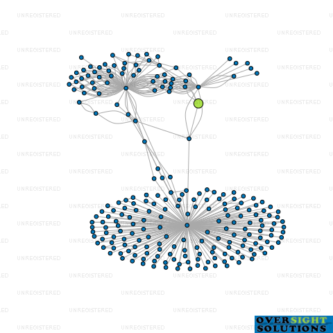 Network diagram for WHISKER  WIDGET LTD