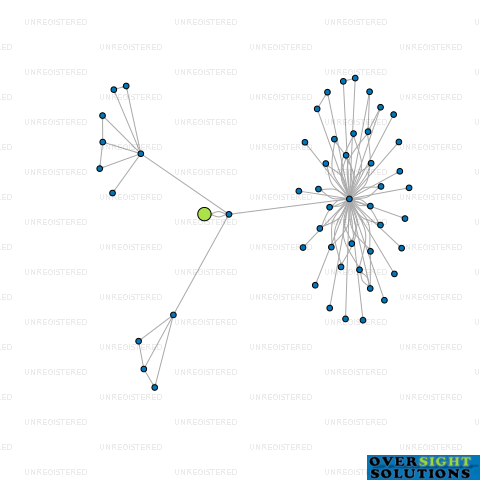 Network diagram for HOUSE OF EMERALD LTD