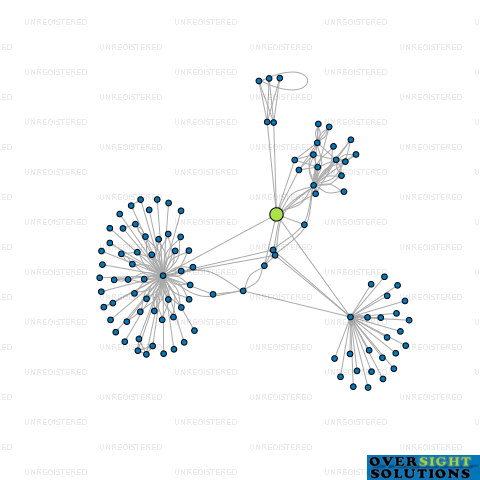 Network diagram for MONTICELLO HOLDINGS LTD