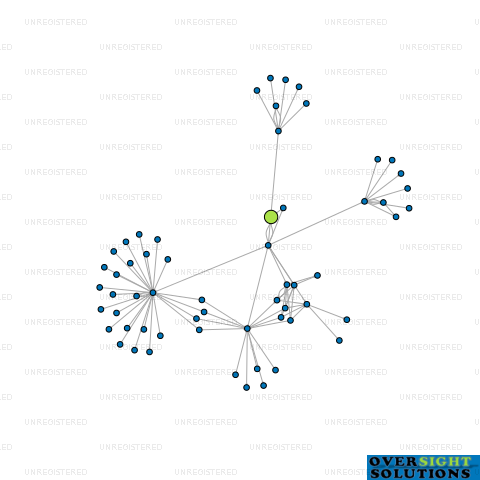 Network diagram for SEYMOUR CONSULTING GROUP LTD