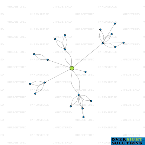 Network diagram for 45 SOUTH MINING LTD