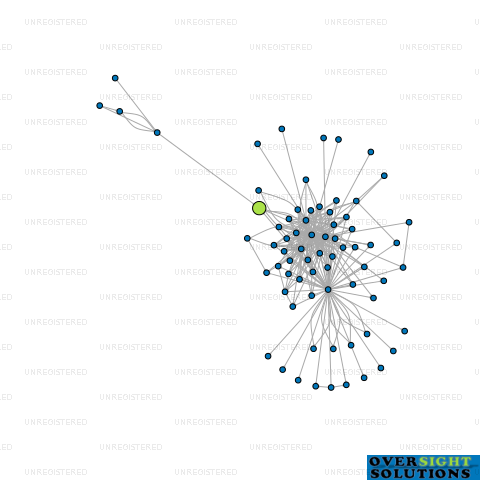 Network diagram for CONSUL INVESTMENTS LTD