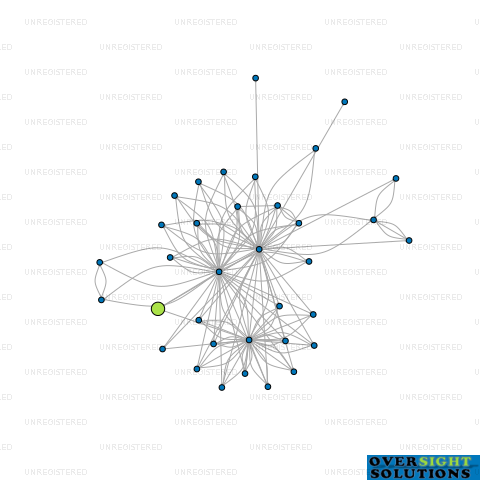 Network diagram for 333 ADVISORY LTD