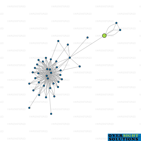 Network diagram for LITTLE PALS LTD