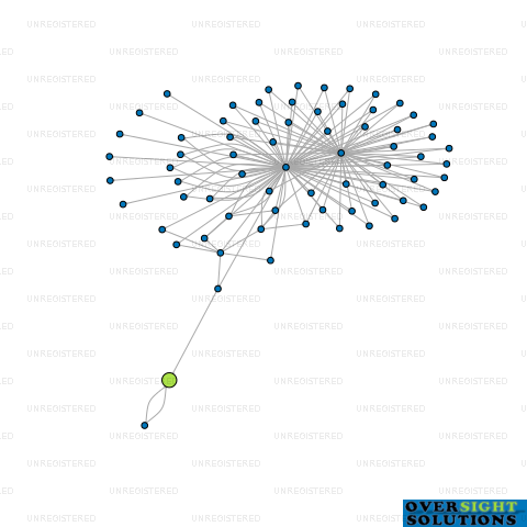 Network diagram for NZCO TRADING LTD
