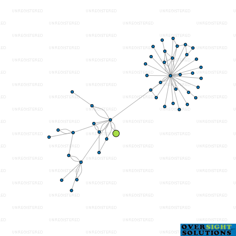 Network diagram for LOWRY TRUSTEE LTD