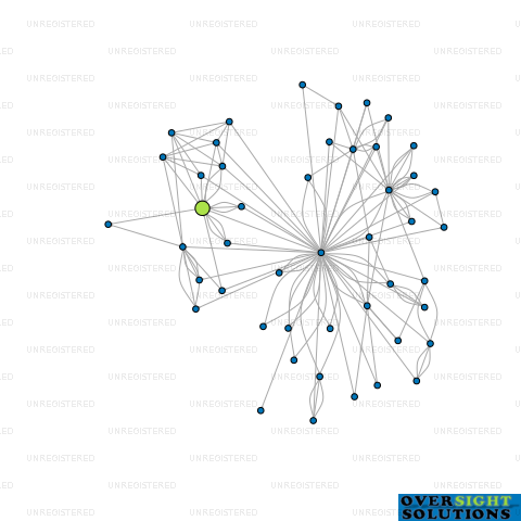 Network diagram for MODENA INVESTMENTS NEW ZEALAND LTD