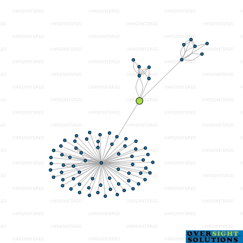 Network diagram for D2 PROCESS LTD