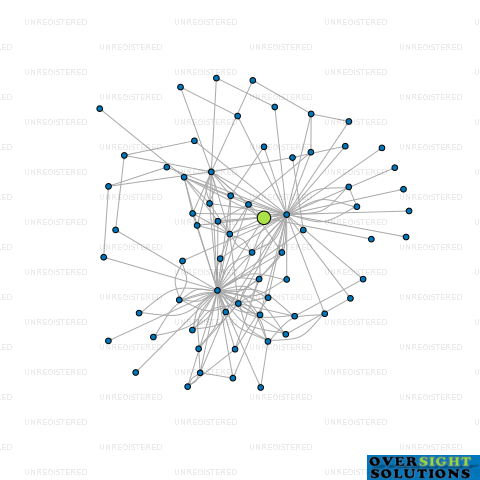Network diagram for LT MCGUINNESS MANAGEMENT AUCKLAND LTD