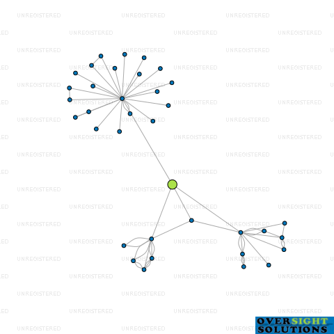 Network diagram for COMTXT HOLDINGS NZ LTD