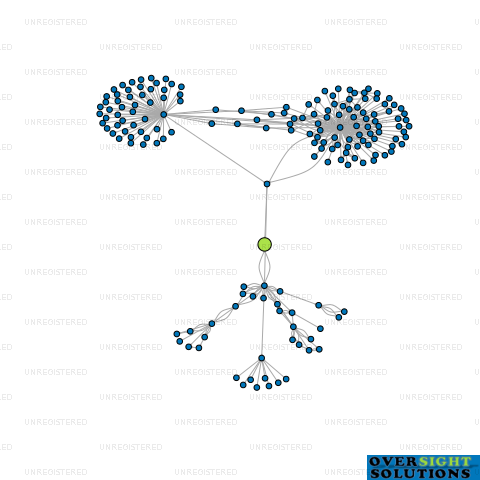 Network diagram for CONSULTANTS OCEANIA LTD