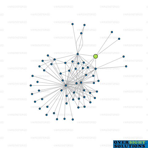 Network diagram for EVOLUTION AUCKLAND HOSPITAL LTD