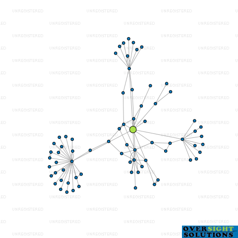 Network diagram for ARAHURA HOLDING LTD