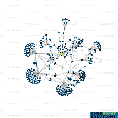 Network diagram for SENSOR HOLDINGS LTD