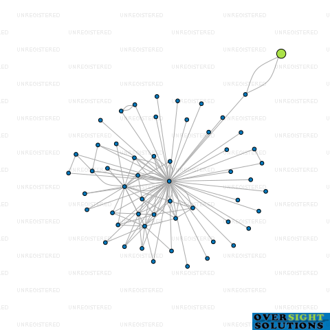 Network diagram for WINKY FACE LTD