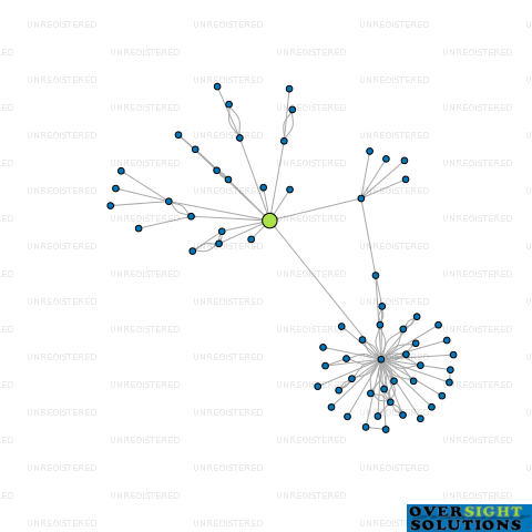 Network diagram for BROADWAY PROFESSIONAL SERVICING CO LTD