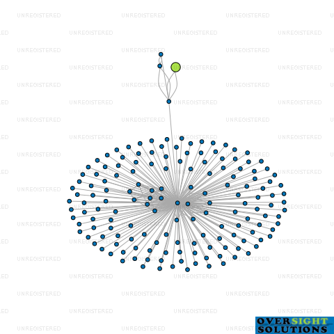 Network diagram for CONCEPTS HOUSE LTD