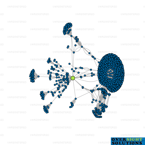 Network diagram for BRUNNER CAPITAL LTD