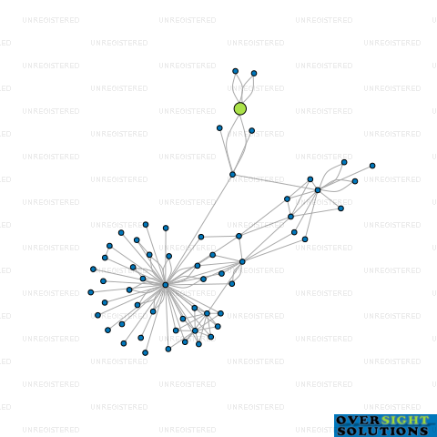 Network diagram for TECHTUNNEL HAMILTON LTD
