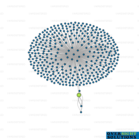 Network diagram for TISHAL KIWI LTD