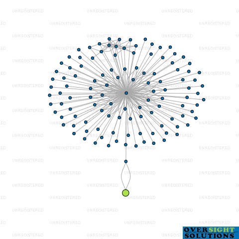 Network diagram for NUZEE LTD