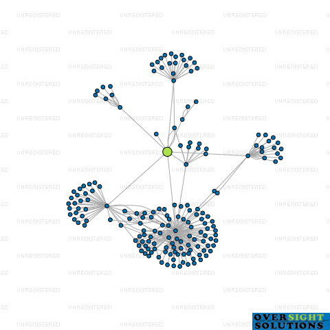 Network diagram for WILDERNESS INVESTMENTS LTD