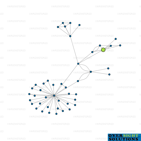 Network diagram for KIWI INVESTMENT HOLDINGS LTD