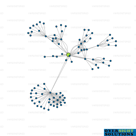 Network diagram for WINKY HOLDINGS LTD