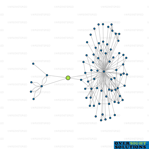 Network diagram for TRENTHAM HOLDINGS LTD