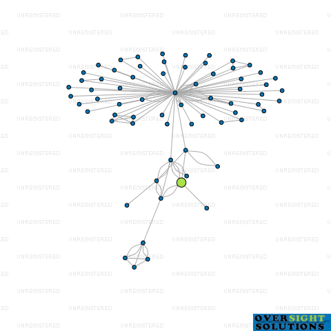 Network diagram for CARVAY HOLDINGS LTD