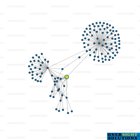 Network diagram for NEW ZEALAND MANUKA LTD