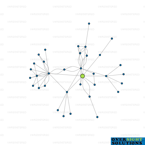 Network diagram for TRAVEL LAB LTD