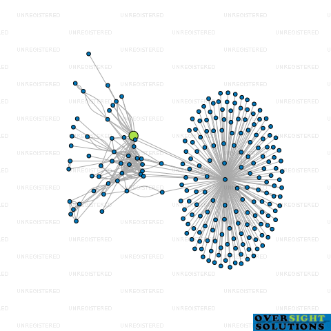 Network diagram for GOOD BROTHERS GROUP LTD