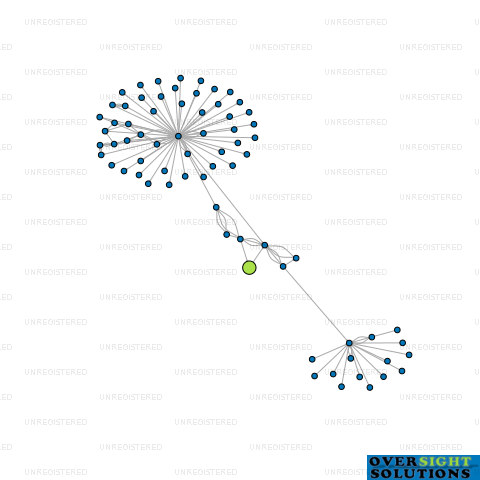 Network diagram for WIND GEARS LTD