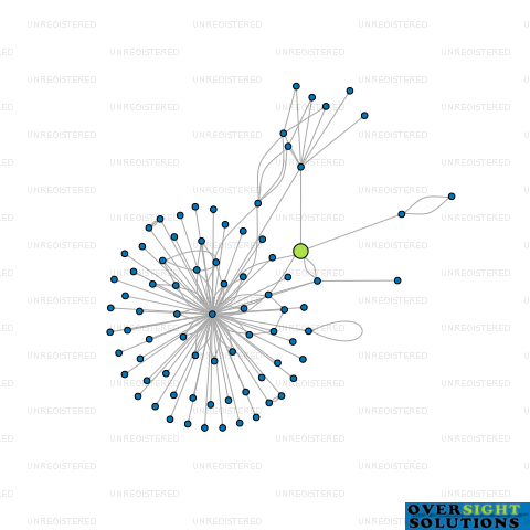 Network diagram for TRES BON INVESTMENTS LTD