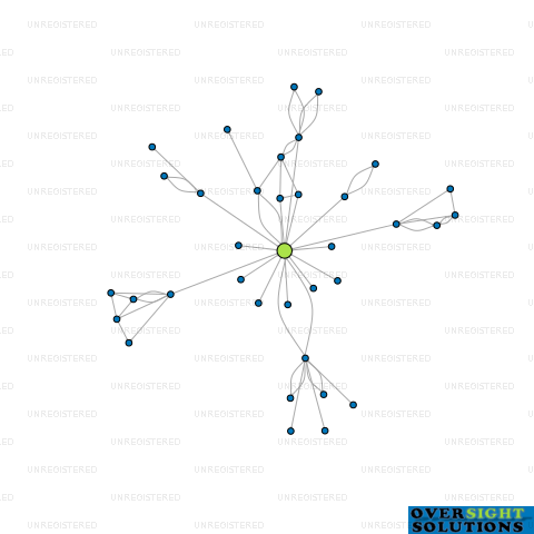 Network diagram for CONA LINN LTD