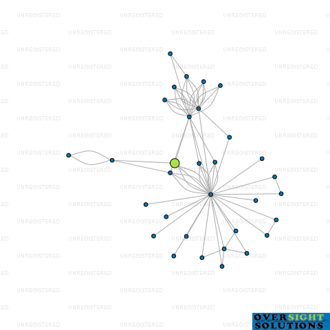 Network diagram for BRISCOES NEW ZEALAND LTD
