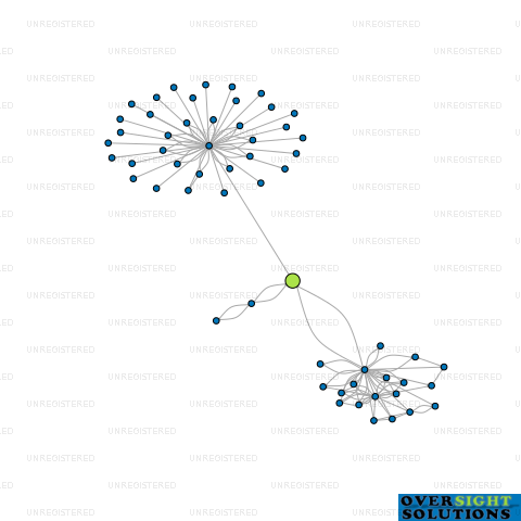 Network diagram for 21SIXTY LTD