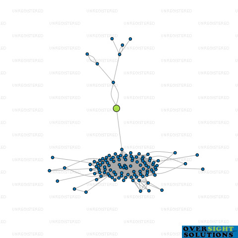 Network diagram for ALLEGROW LTD