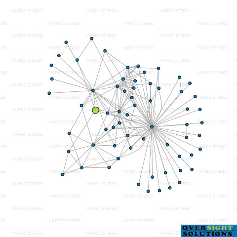 Network diagram for QUANTUM ASSURANCE LTD