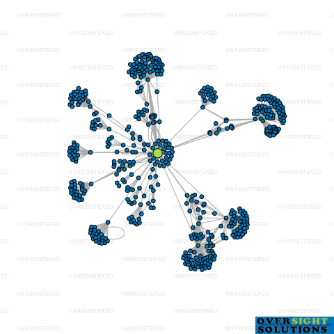 Network diagram for MAGIC MEMORIES GROUP HOLDINGS LTD