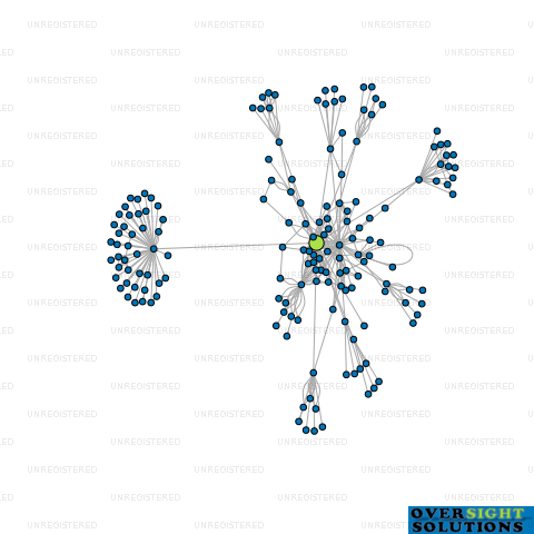 Network diagram for SKEGGS GROUP LTD