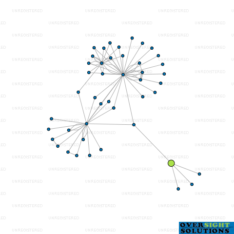 Network diagram for COLMAR  BRUNTON RESEARCH LTD