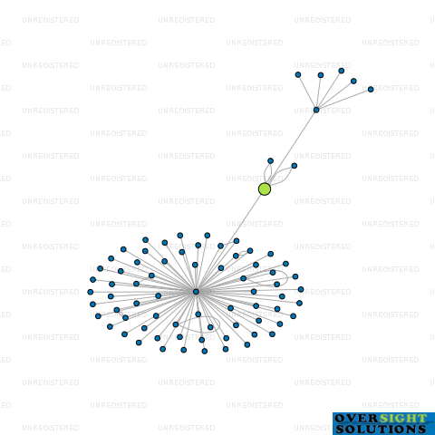 Network diagram for SHAMROCK LTD