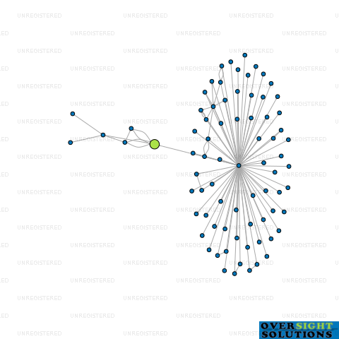 Network diagram for HASSALL HOMES LTD